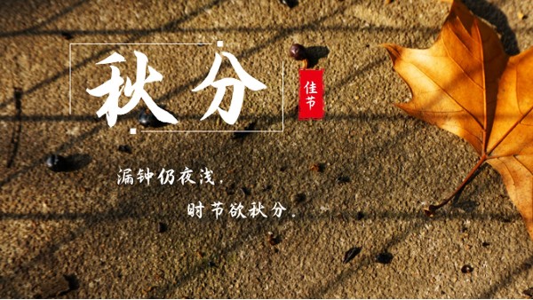 樓上樓門窗 | 白露秋分夜,一夜冷一夜，高端門窗安排上！